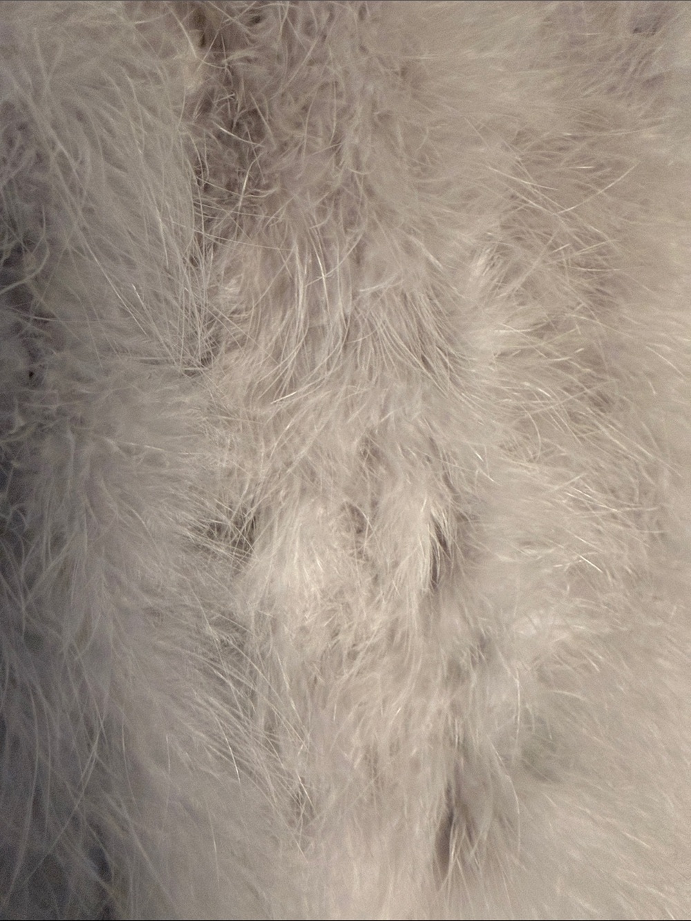 Lamarque Light Gray Teddy Jacket - Picture 6 of 8